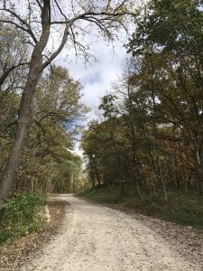 Beautiful Photos - Winding Path